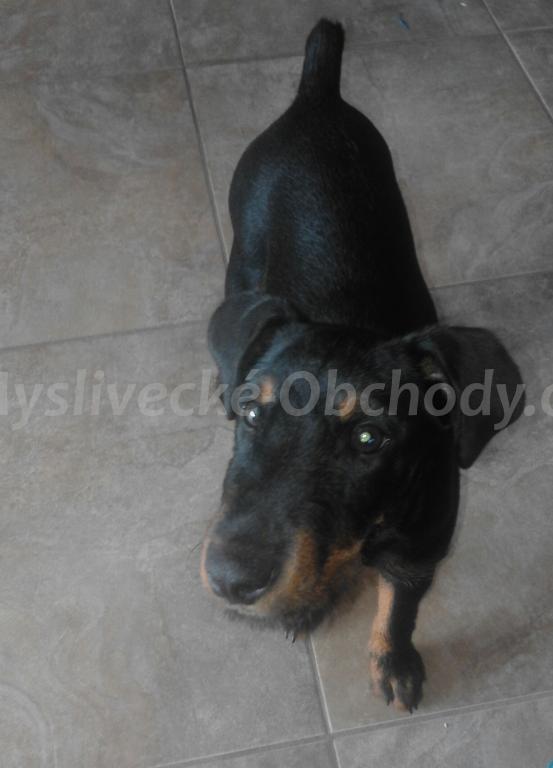 Foto v�robku