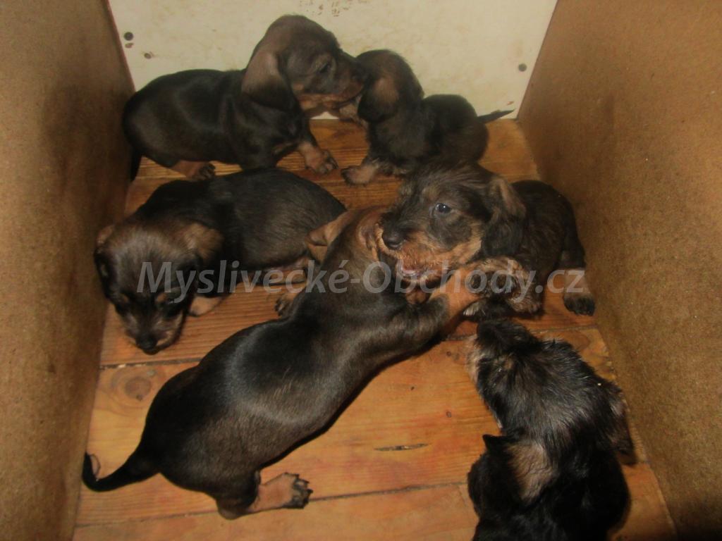 Foto v�robku