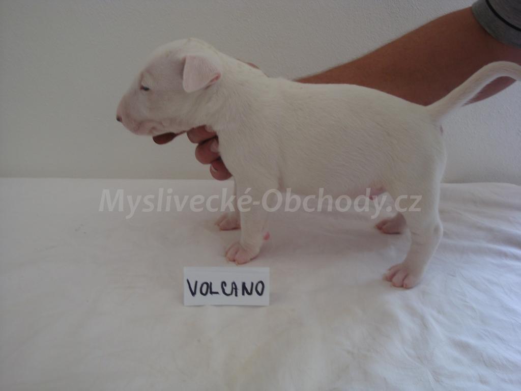 Foto v�robku