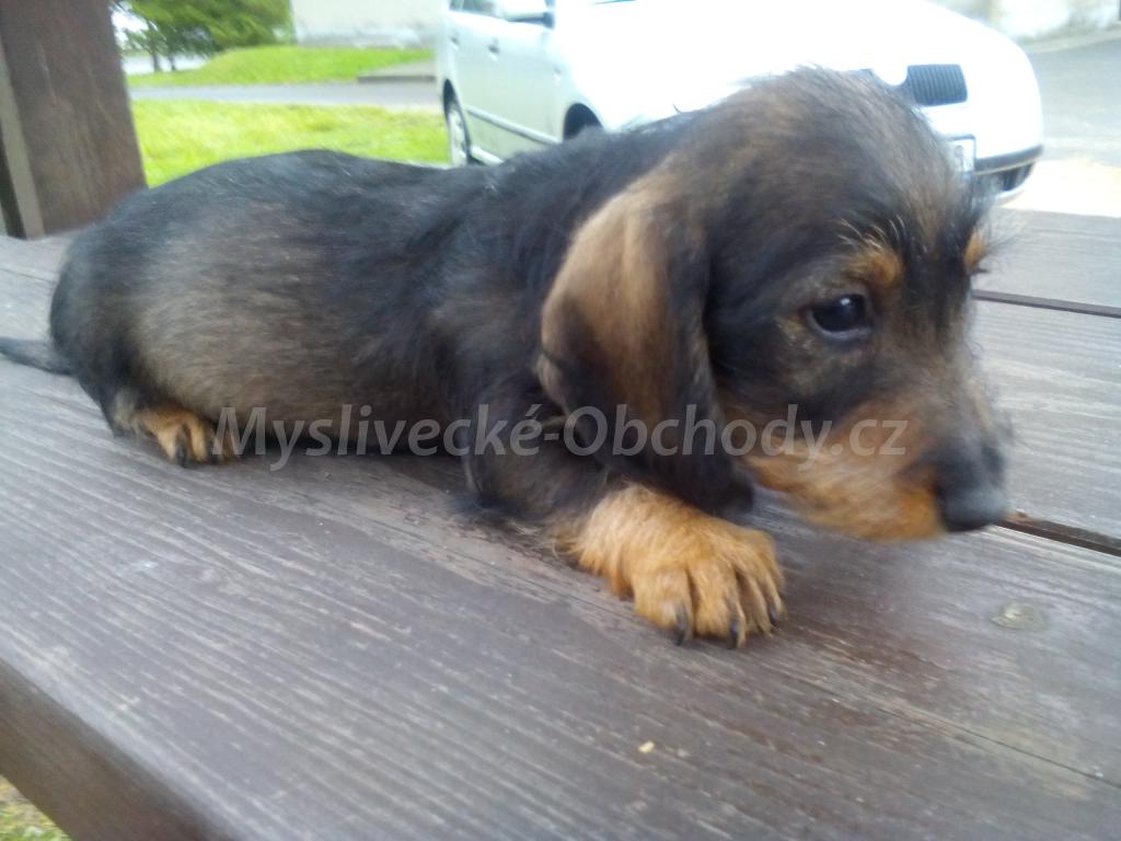 Foto v�robku