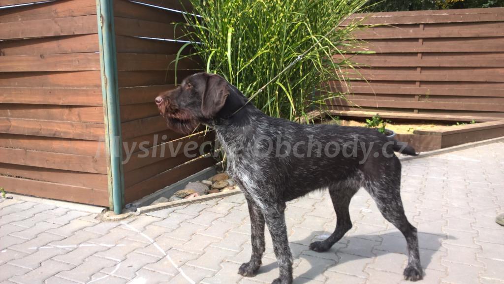 Foto v�robku