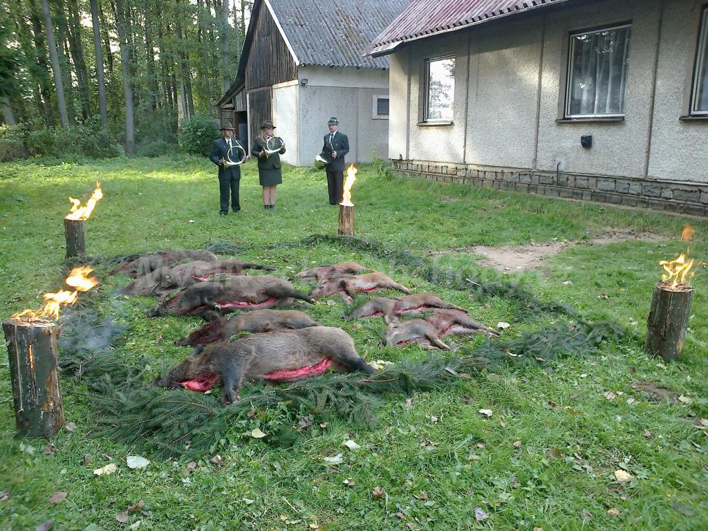 Foto v�robku