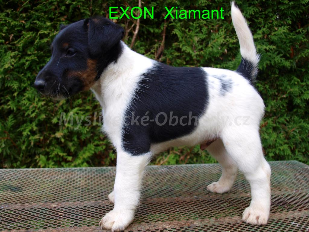 Foto v�robku
