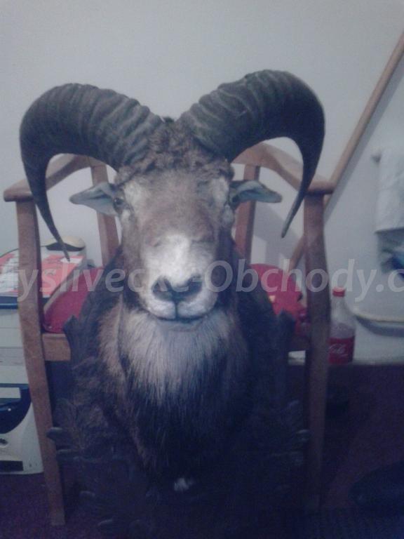 Foto v�robku