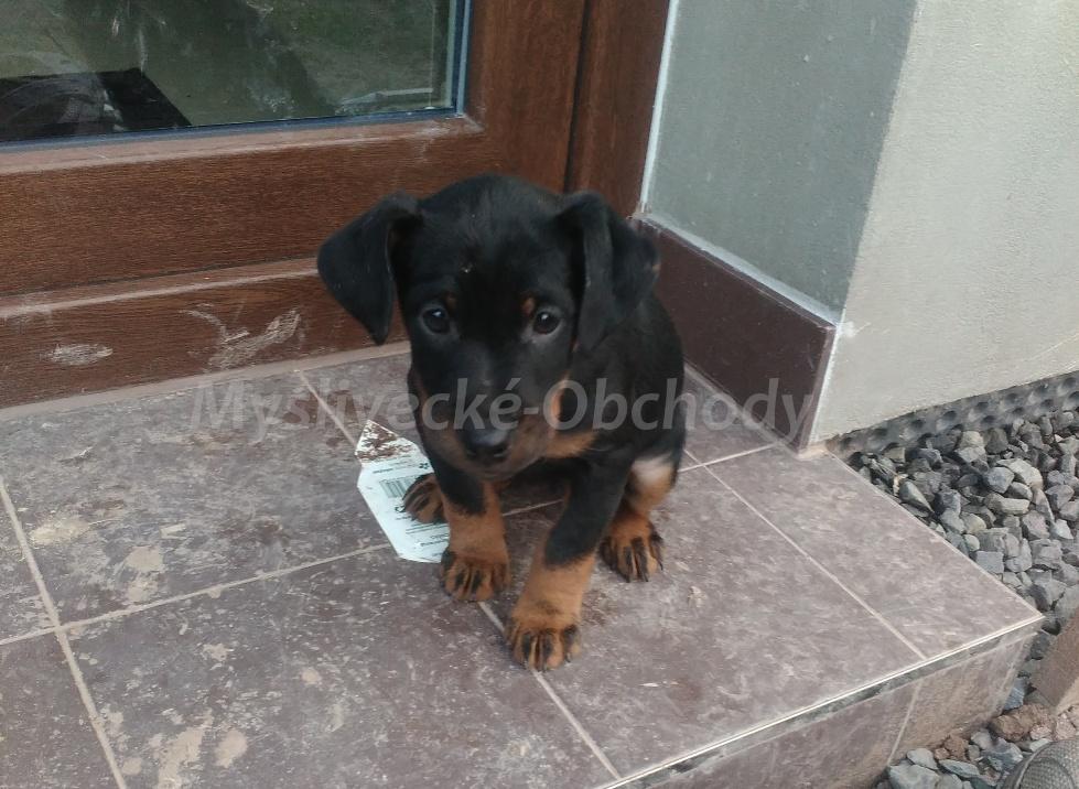Foto v�robku
