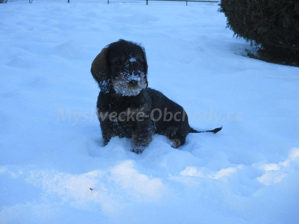 Foto v�robku