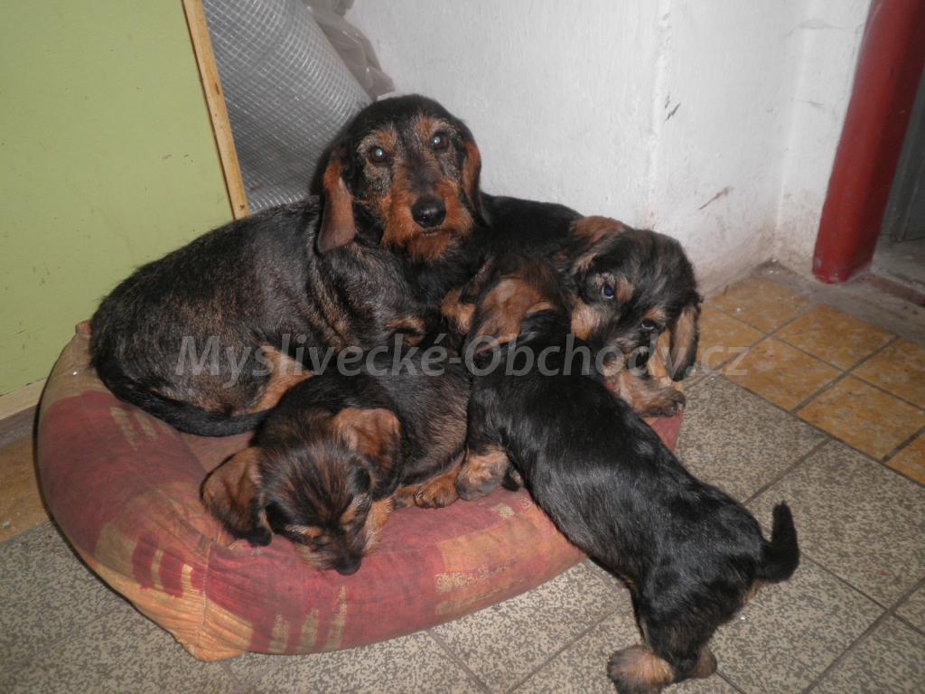 Foto v�robku