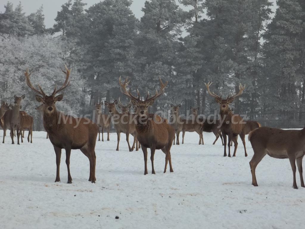 Foto v�robku