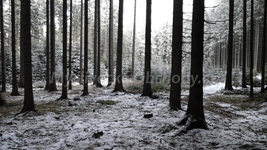Foto v�robku