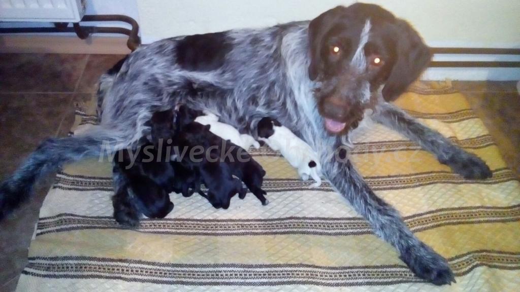Foto v�robku