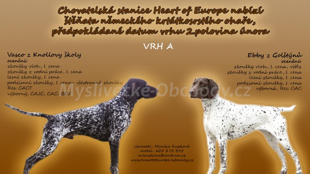Foto v�robku