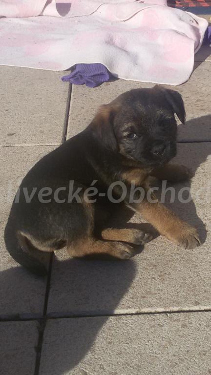 Foto v�robku