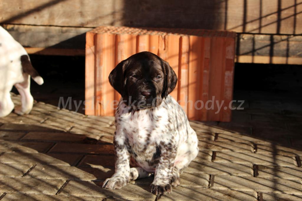 Foto v�robku
