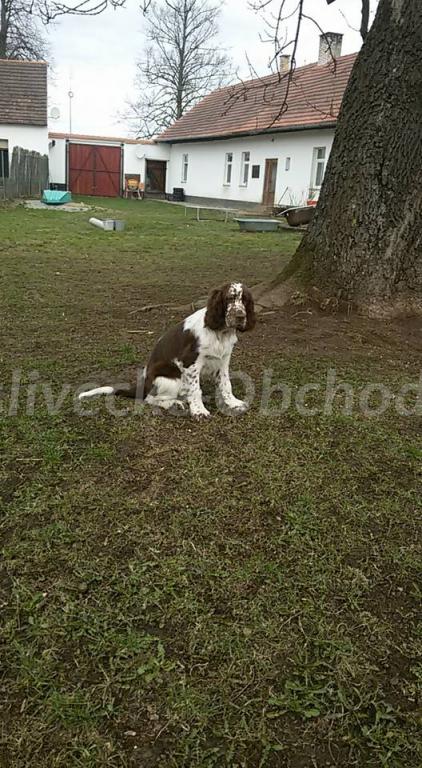 Foto v�robku
