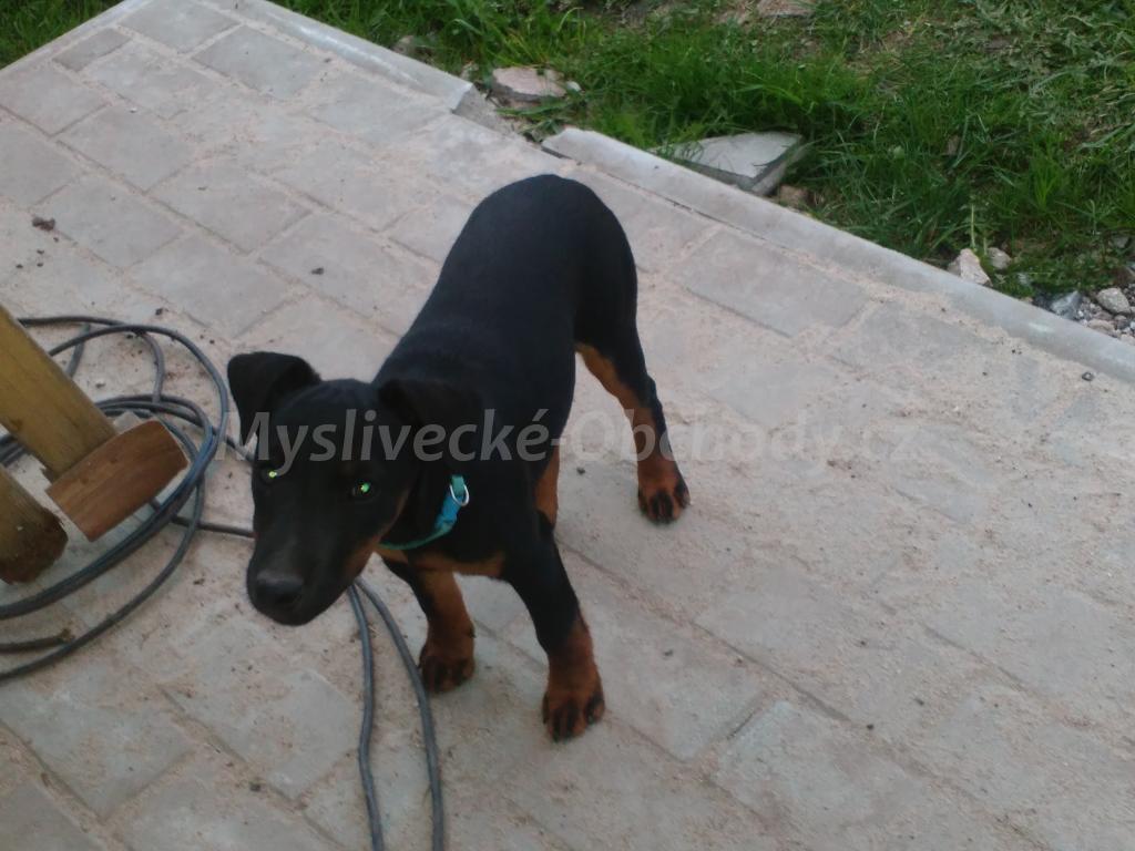 Foto v�robku