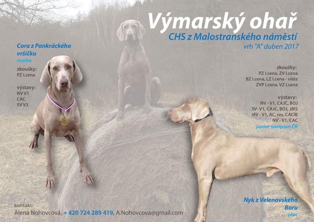 Foto v�robku