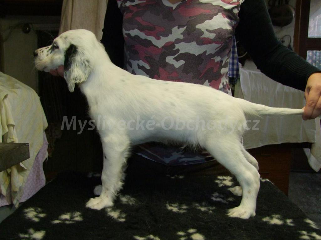 Foto v�robku