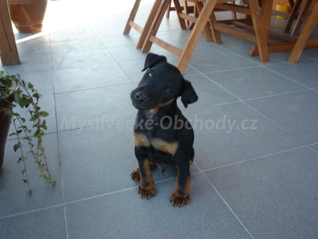Foto v�robku