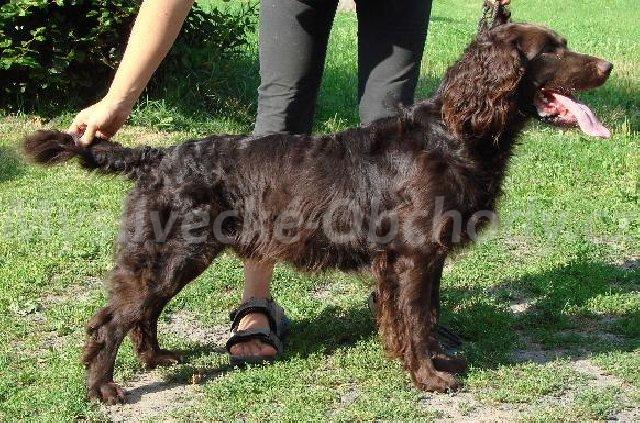 Foto v�robku