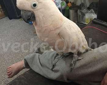 Foto v�robku