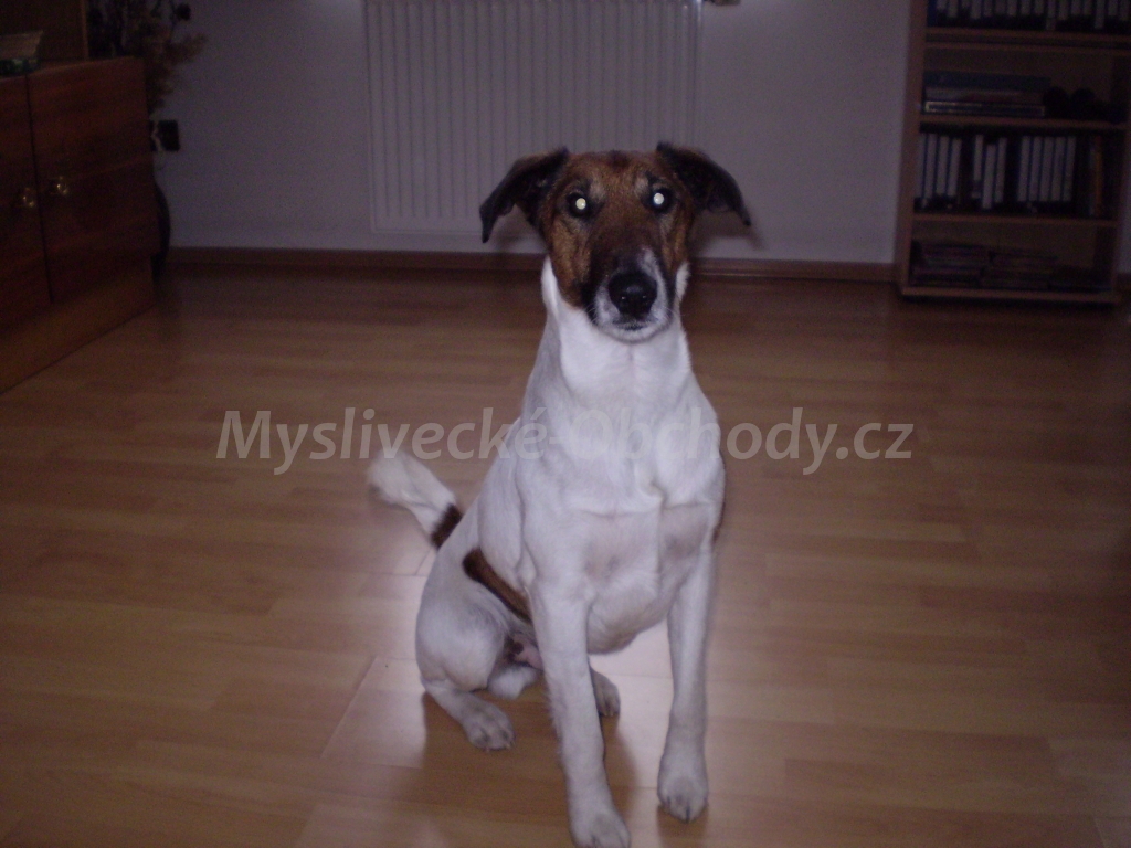 Foto v�robku