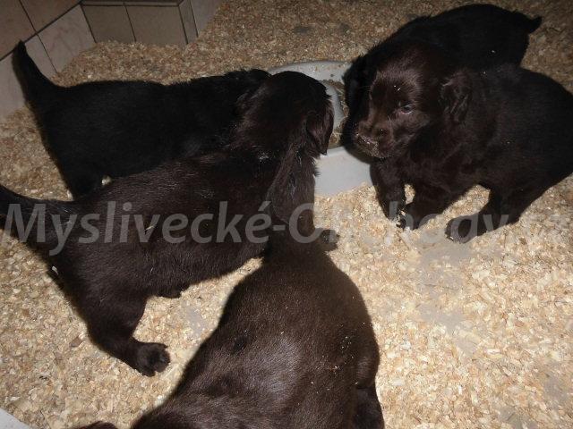 Foto v�robku