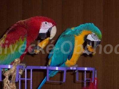 Foto v�robku