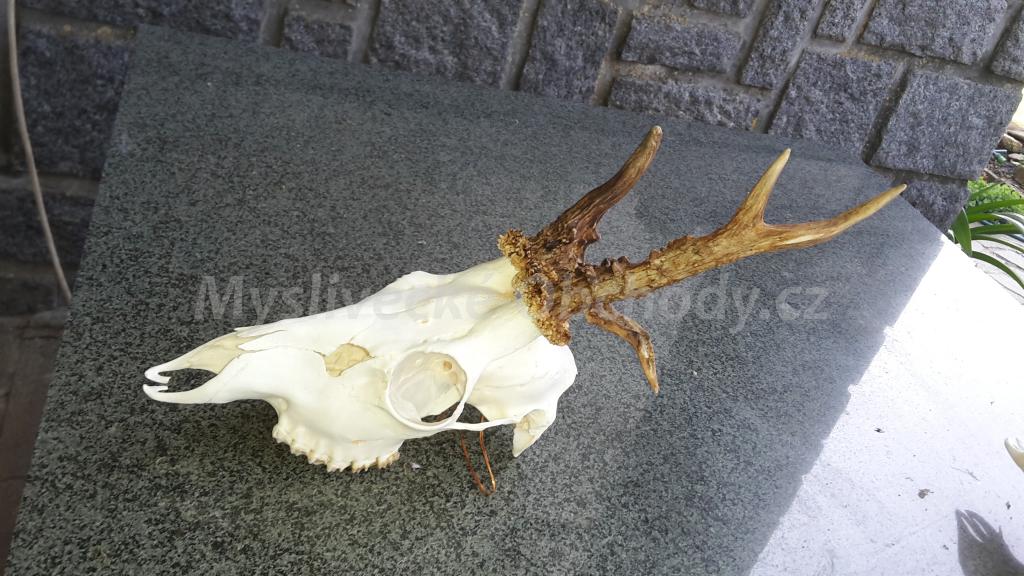 Foto v�robku