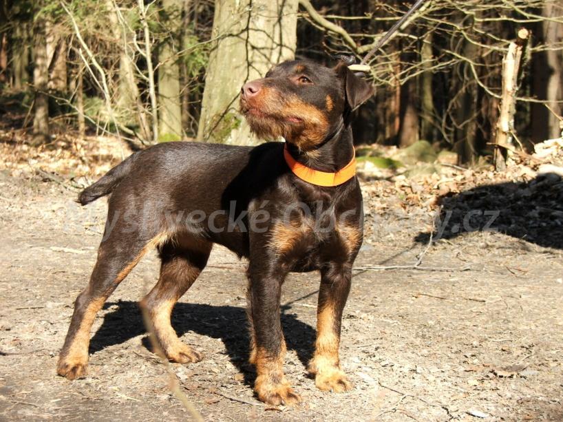 Foto v�robku