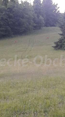 Foto v�robku