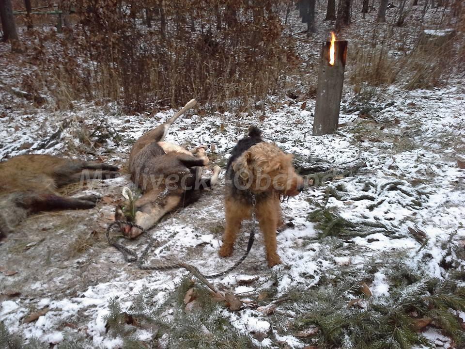 Foto v�robku