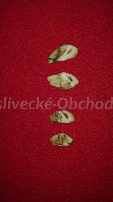 Foto v�robku