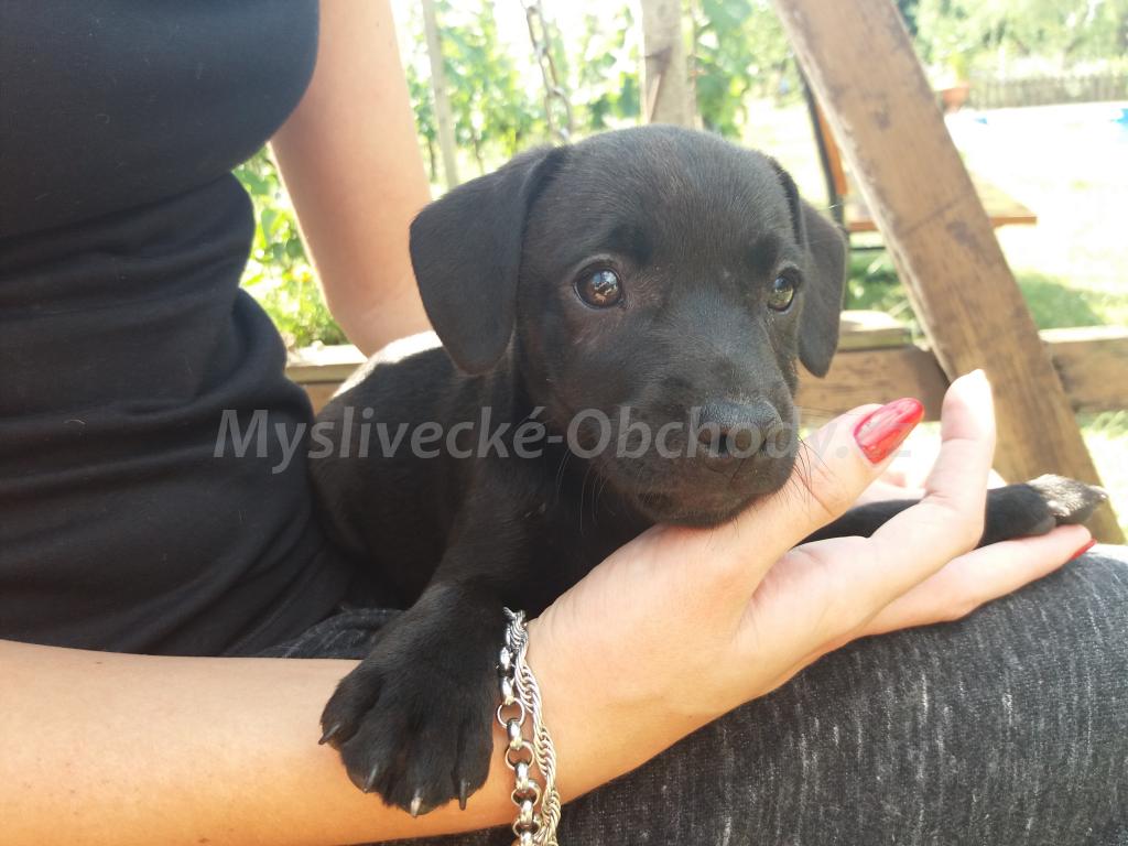 Foto v�robku