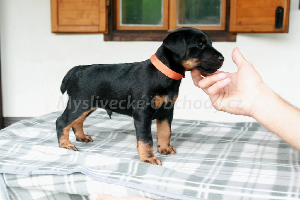Foto v�robku