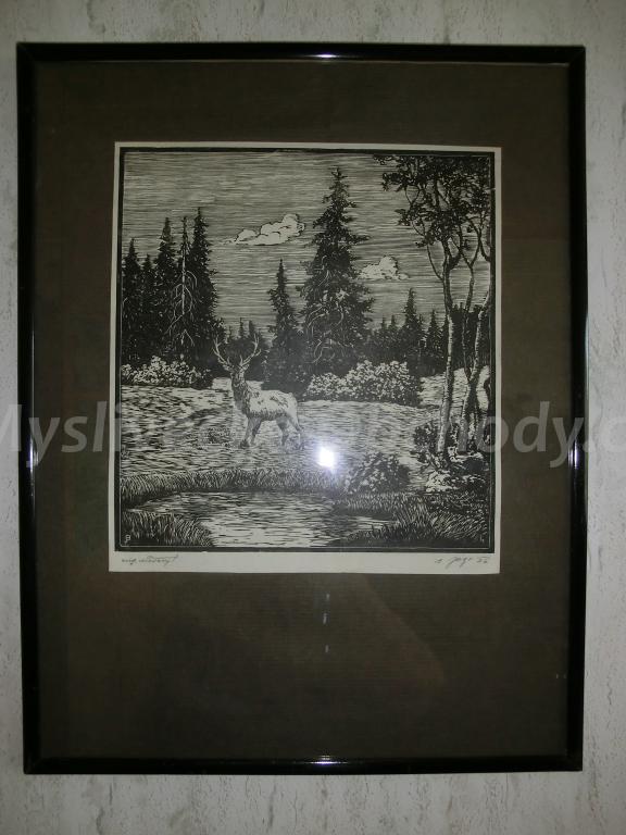 Foto v�robku