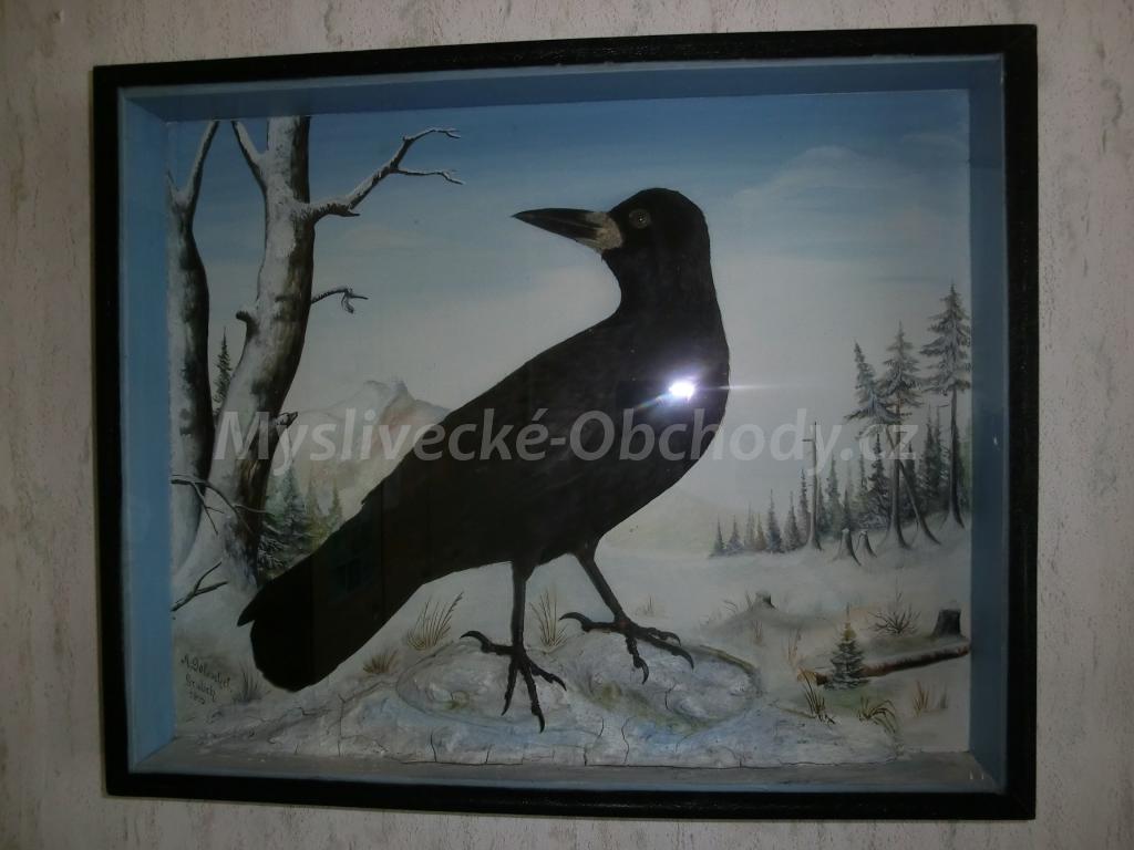 Foto v�robku