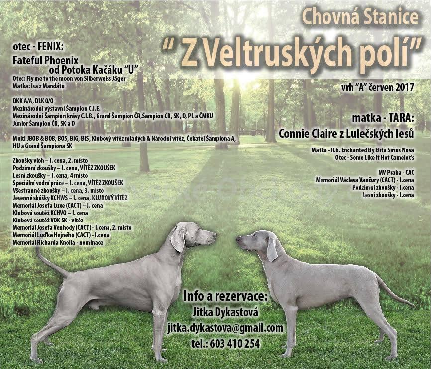Foto v�robku