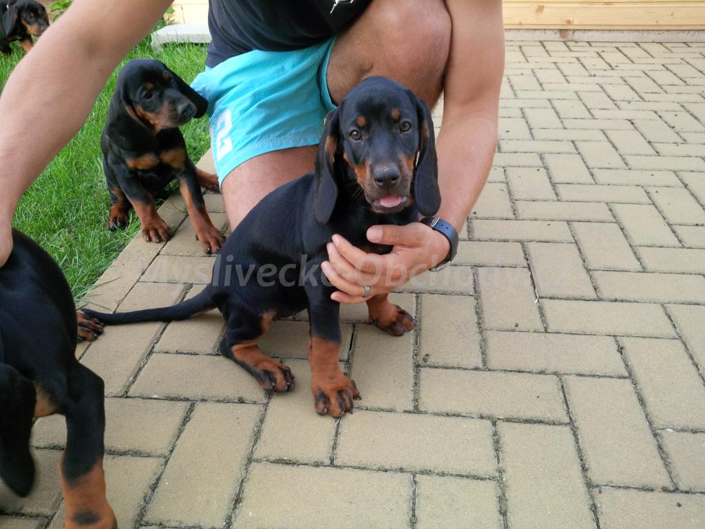 Foto v�robku