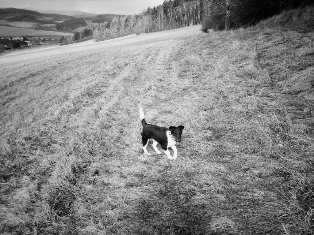 Foto v�robku
