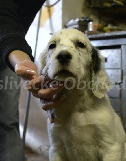 Foto v�robku