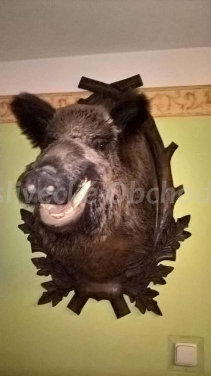Foto v�robku