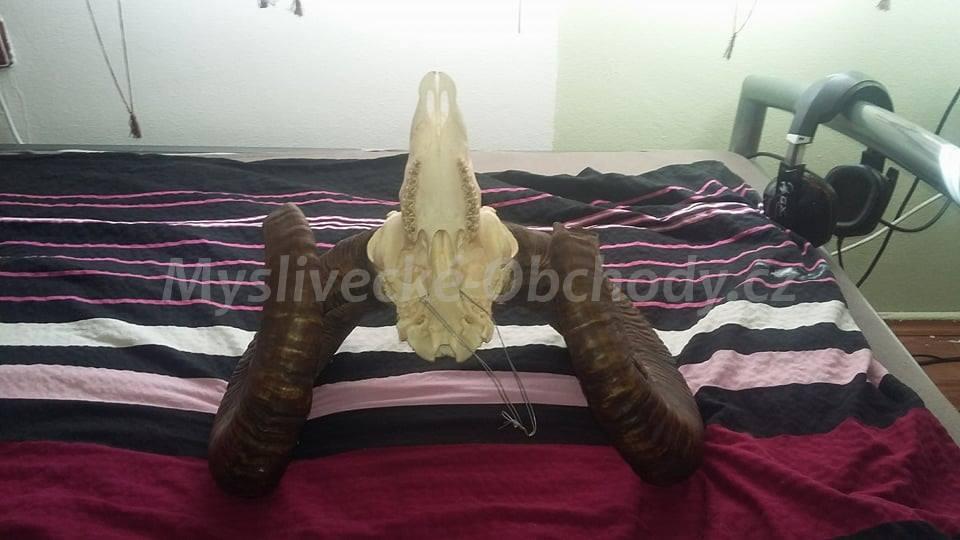 Foto v�robku