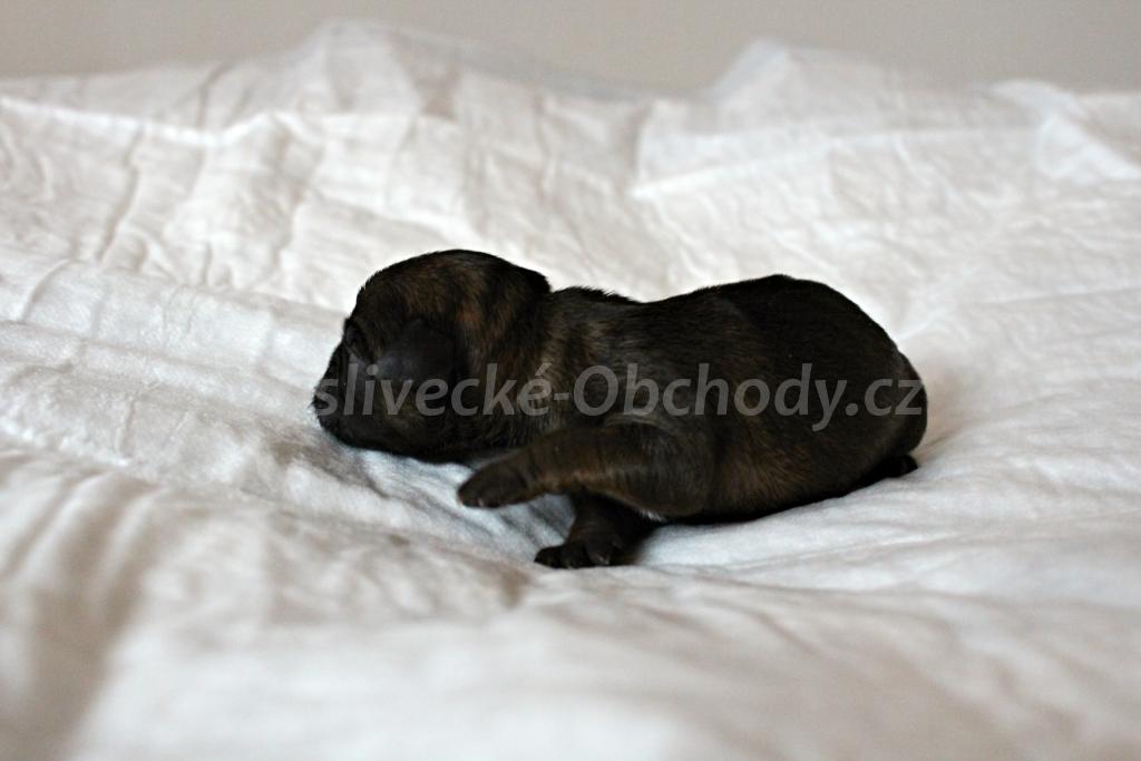 Foto v�robku