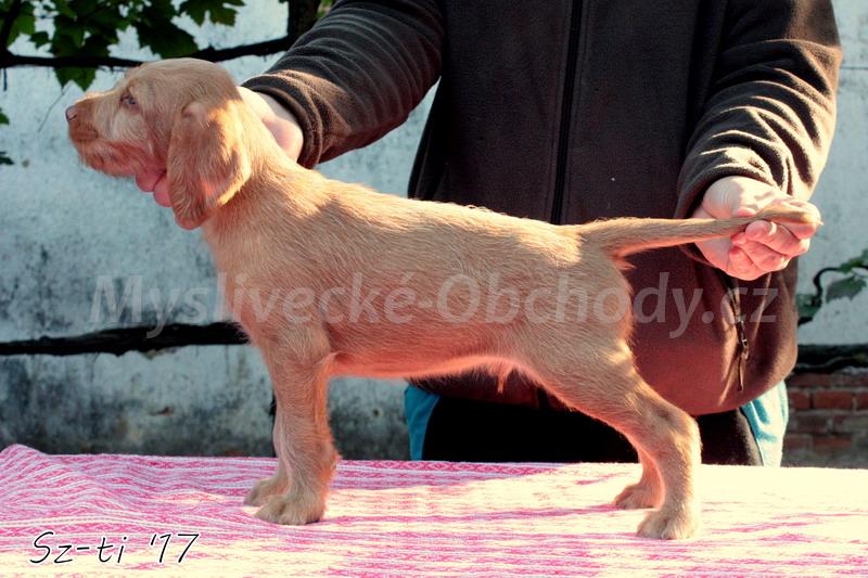 Foto v�robku