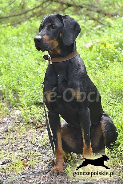 Foto v�robku