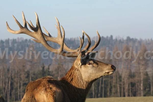 Foto v�robku
