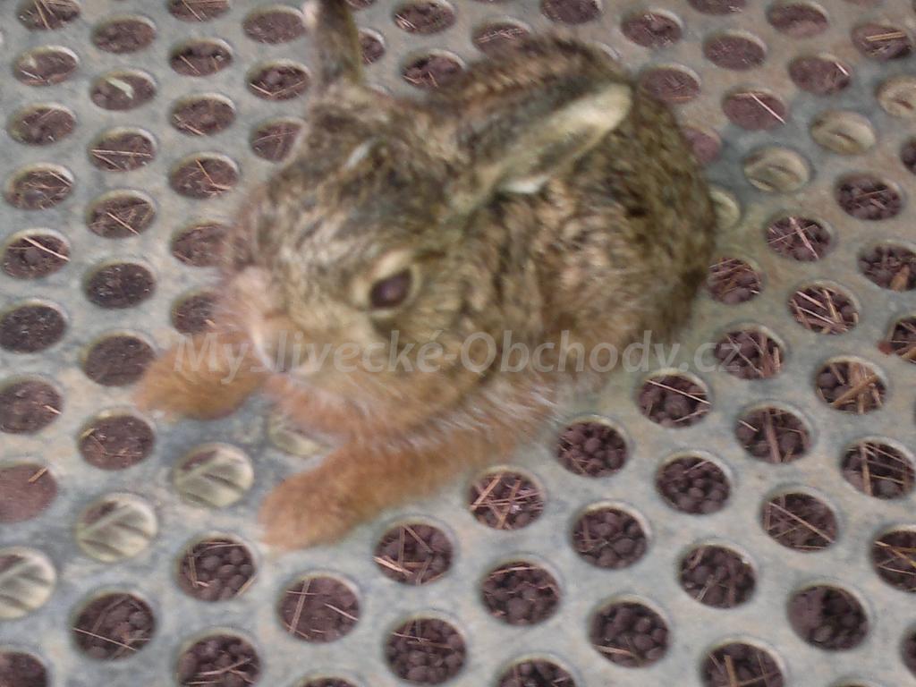 Foto v�robku