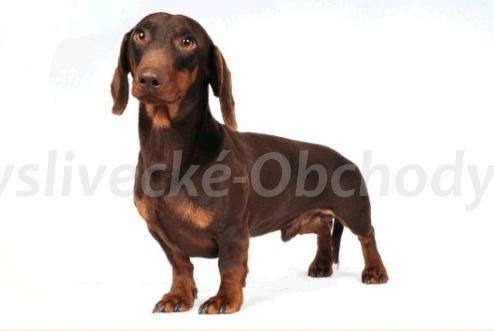 Foto v�robku