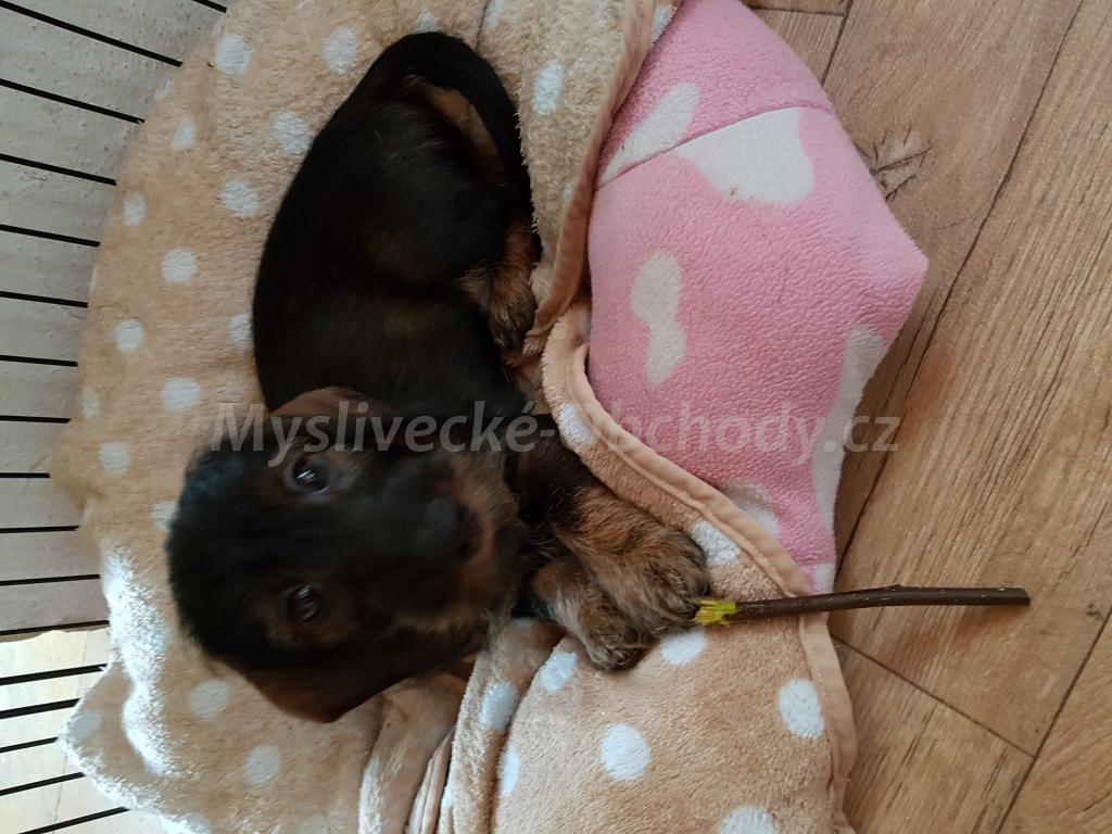Foto v�robku