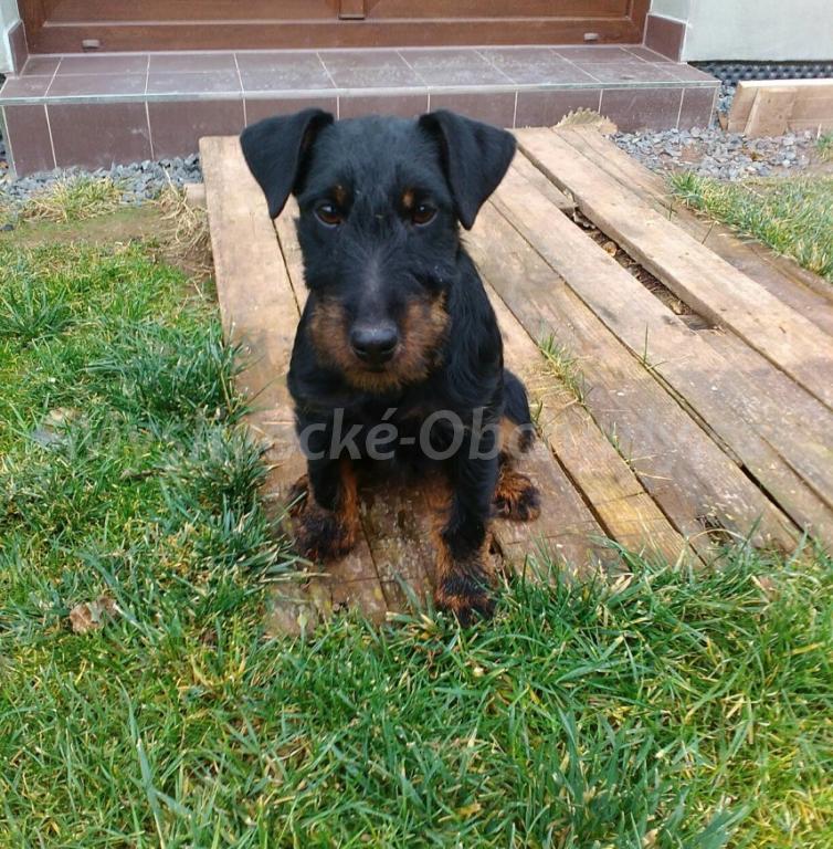 Foto v�robku